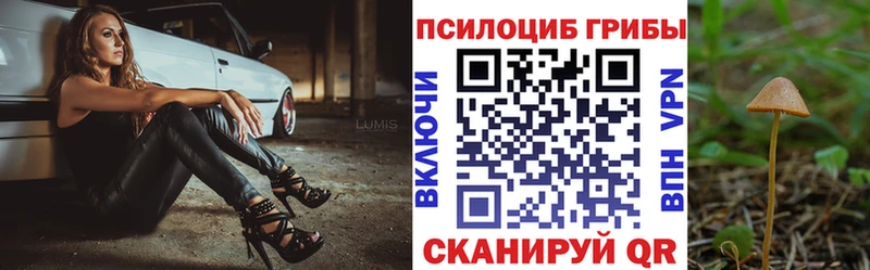 Галлюциногенные грибы Magic Shrooms Себеж