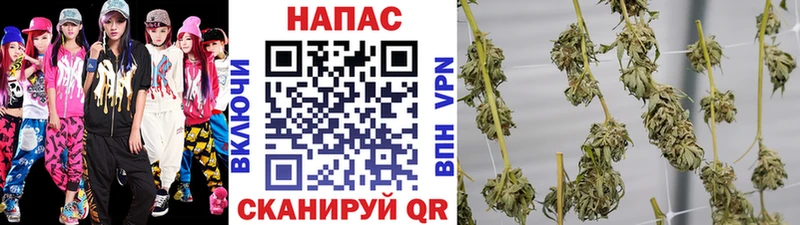 Марихуана тримм  OMG зеркало  Себеж 